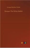 Bumper The White Rabbit