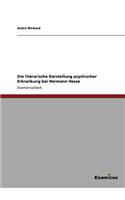 literarische Darstellung psychischer Erkrankung bei Hermann Hesse