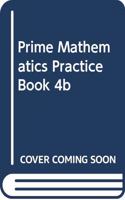 Prime Mathematics Practice Book 4b