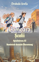 Comoara Școlii