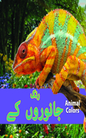 Animal Colors (Urdu)/جانوروں کے رنگ