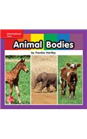 Reading Wonders Leveled Reader Animal Bodies: Ell Unit 7 Week 1 Grade K: (Elementary Core Reading)