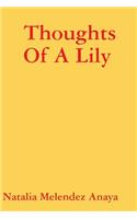 Thoughts Of A Lily