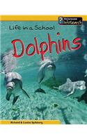 Life in a School of Dolphins: (Animal Groups)