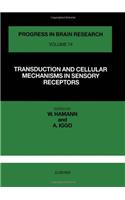 Transduction and Cellular Mechanisms in Sensory Receptors