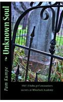 Unknown Soul