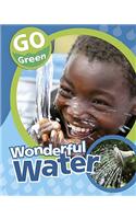 Wonderful Water