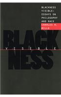 Blackness Visible: Essays on Philosophy and Race