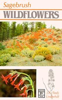 Sagebrush Wildflowers