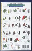 Mac's Field Guides: Acadia National Park