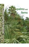 Permaculture Plants