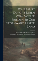 Wallfahrt Durch's Leben vom Baseler Frieden bis zur Gegenwart, Erster Band