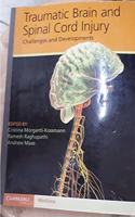 Traumatic Brain and Spinal Cord Injury (South Asian Edition): Challenges and Developments