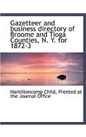 Gazetteer and Business Directory of Broome and Tioga Counties, N. Y. for 1872-3
