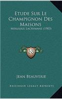 Etude Sur Le Champignon Des Maisons