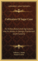 Cultivation Of Sugar Cane