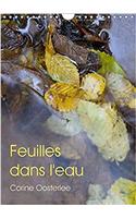 Feuilles Dans L'eau 2017