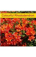 Colourful Rhododendron 2017