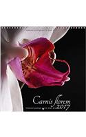 Carnis Florem 2017 2017
