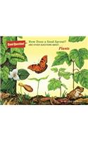 How Does a Seed Sprout?: And Other Questions about Plants