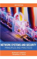 Network Systems and Security (Principles and Practices): Computer Networks, Architecture and Practices