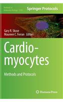 Cardiomyocytes
