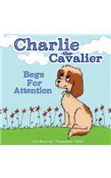 Charlie the Cavalier Begs for Attention