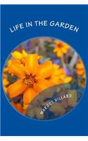 Life in the Garden