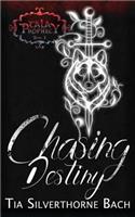 Chasing Destiny