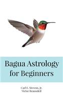 Bagua Astrology for Beginners