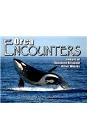 Orca Encounters