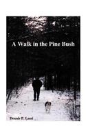 Walk in the Pine Bush