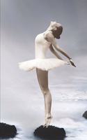 Ballet Notebook