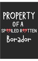 Property Of A Spoiled Rotten Borador: Lined Journal, 120 Pages, 6 x 9, Borador Dog Gift Idea, Black Matte Finish (Property Of A Spoiled Rotten Borador Journal)