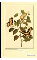 Butterfly Print Journal
