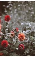 The Botanical Collection