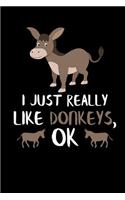 I Just Really Like Donkeys, Ok