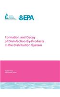 Formation and Decay of Disinfection By-Products in the Distribution System