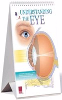 Understanding The Eye Flip Chart