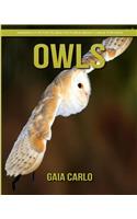Owls