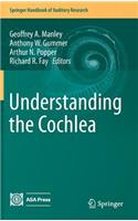 Understanding the Cochlea