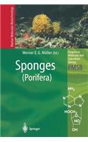 Sponges (Porifera)