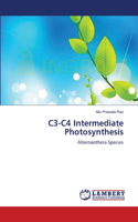 C3-C4 Intermediate Photosynthesis