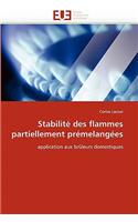 Stabilité des flammes partiellement prémelangées: (Omn.Univ.Europ.)