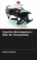 Insectes décomposeurs