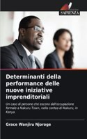 Determinanti della performance delle nuove iniziative imprenditoriali