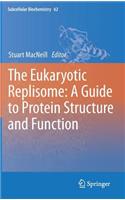 The Eukaryotic Replisome: a Guide to Protein Structure and Function