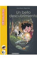 Un Bello Descubrimiento