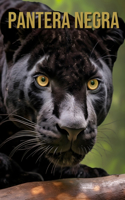 Pantera negra: Imágenes y datos asombrosos sobre los Pantera negra para niños