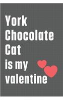 York Chocolate Cat is my valentine: For York Chocolate Cat Fans